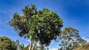 Arvum Hotel Boutique