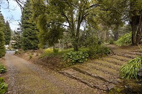 Surrounded by Nature - Casa da Cebola