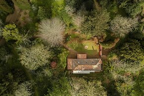 Surrounded by Nature - Casa da Cebola