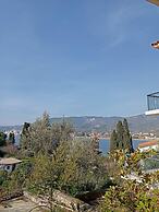 Georgias House Project Ground Floor