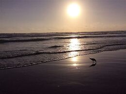 Riverside Holidays by ReadySet