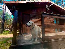 Camping Urbión