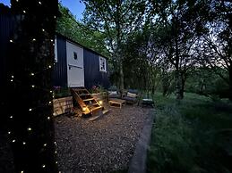 Cornwall Woodland Dog Friendly Shepherd's Hut