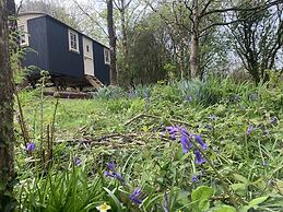 Cornwall Woodland Dog Friendly Shepherd's Hut