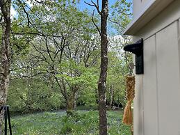 Cornwall Woodland Dog Friendly Shepherd's Hut
