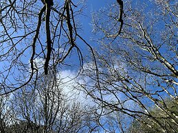 Cornwall Woodland Dog Friendly Shepherd's Hut