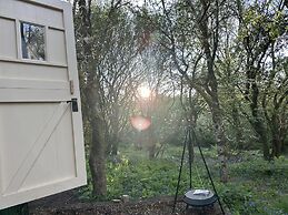Cornwall Woodland Dog Friendly Shepherd's Hut
