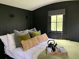 Cornwall Woodland Dog Friendly Shepherd's Hut