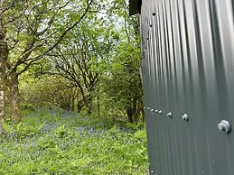 Cornwall Woodland Dog Friendly Shepherd's Hut
