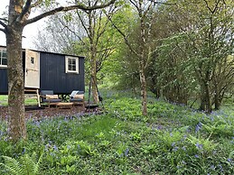 Cornwall Woodland Dog Friendly Shepherd's Hut