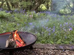 Cornwall Woodland Dog Friendly Shepherd's Hut