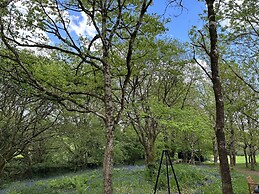 Cornwall Woodland Dog Friendly Shepherd's Hut