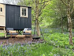 Cornwall Woodland Dog Friendly Shepherd's Hut
