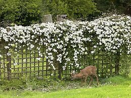 Cornwall Woodland Dog Friendly Shepherd's Hut