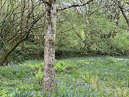 Cornwall Woodland Dog Friendly Shepherd's Hut