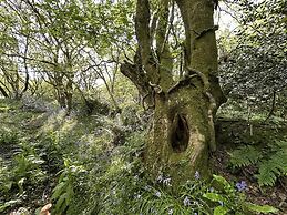 Cornwall Woodland Dog Friendly Shepherd's Hut