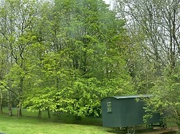 Cornwall Woodland Dog Friendly Shepherd's Hut