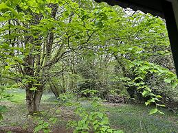 Cornwall Woodland Dog Friendly Shepherd's Hut