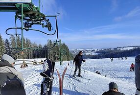 Chalet in the Woods With Jacuzzi and Sauna