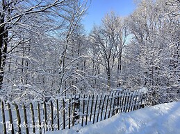Chalet in the Woods With Jacuzzi and Sauna