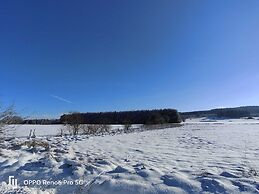 Chalet in the Woods With Jacuzzi and Sauna