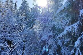 Chalet in the Woods With Jacuzzi and Sauna