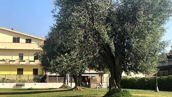 Welcomely - Casa del Minatore 2