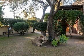 Welcomely - S Olia-l Olivo