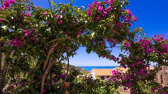 Welcomely - La Nassa