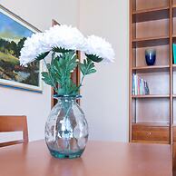 Welcomely - Asfodelo 97