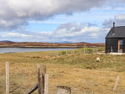North Light Studio