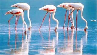 Welcomely - Terrazza Romantica sul Mare di Olbia