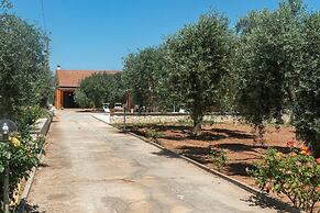 Welcomely - Domo Galante