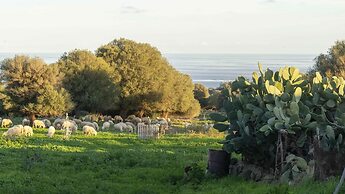 Casa Oliveto 2 in Galtell