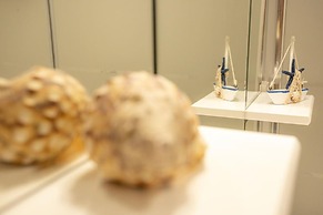 Tamargueira Beach Apartment