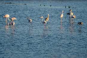 Figueira Duplex Praia Buarcos wi fi Cable Tv