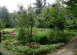 Holiday Home in Wietzendorf With Terrace