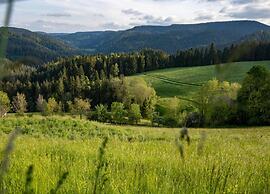 Lovely Apartment in the Black Forest