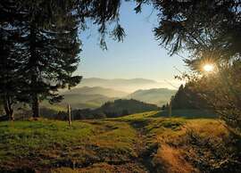 Lovely Apartment in the Black Forest