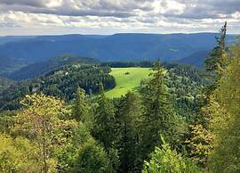 Lovely Apartment in the Black Forest