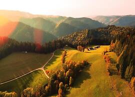 Lovely Apartment in the Black Forest