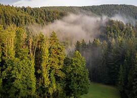 Lovely Apartment in the Black Forest
