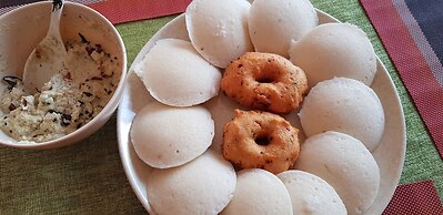 Northern Pearl Limited