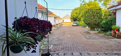 Northern Pearl Limited