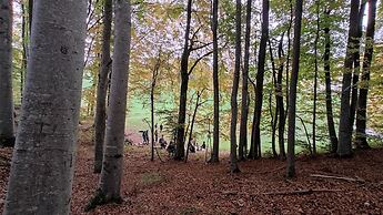 Malga Laben