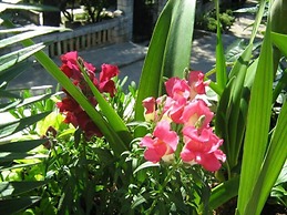 Apartment House Boninovo - One Bedroom Apartment