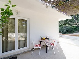 Apartments Skurla - One Bedroom Apartment With Terrace