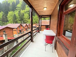 Uzungol Cerrahpasa Suites