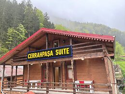 Uzungol Cerrahpasa Suites