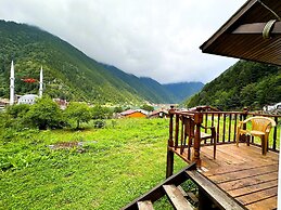 Uzungol Cerrahpasa Suites